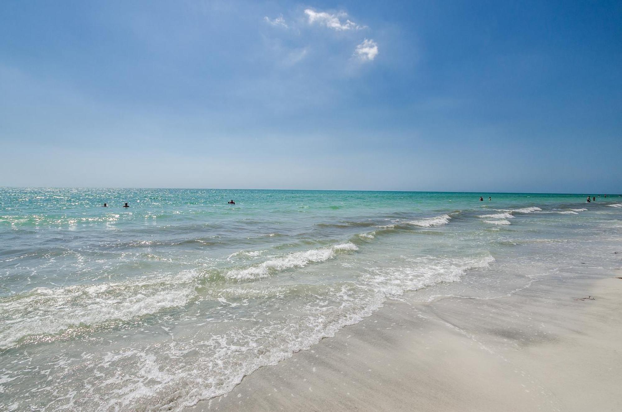 The Rose Clearwater Beach Exterior foto