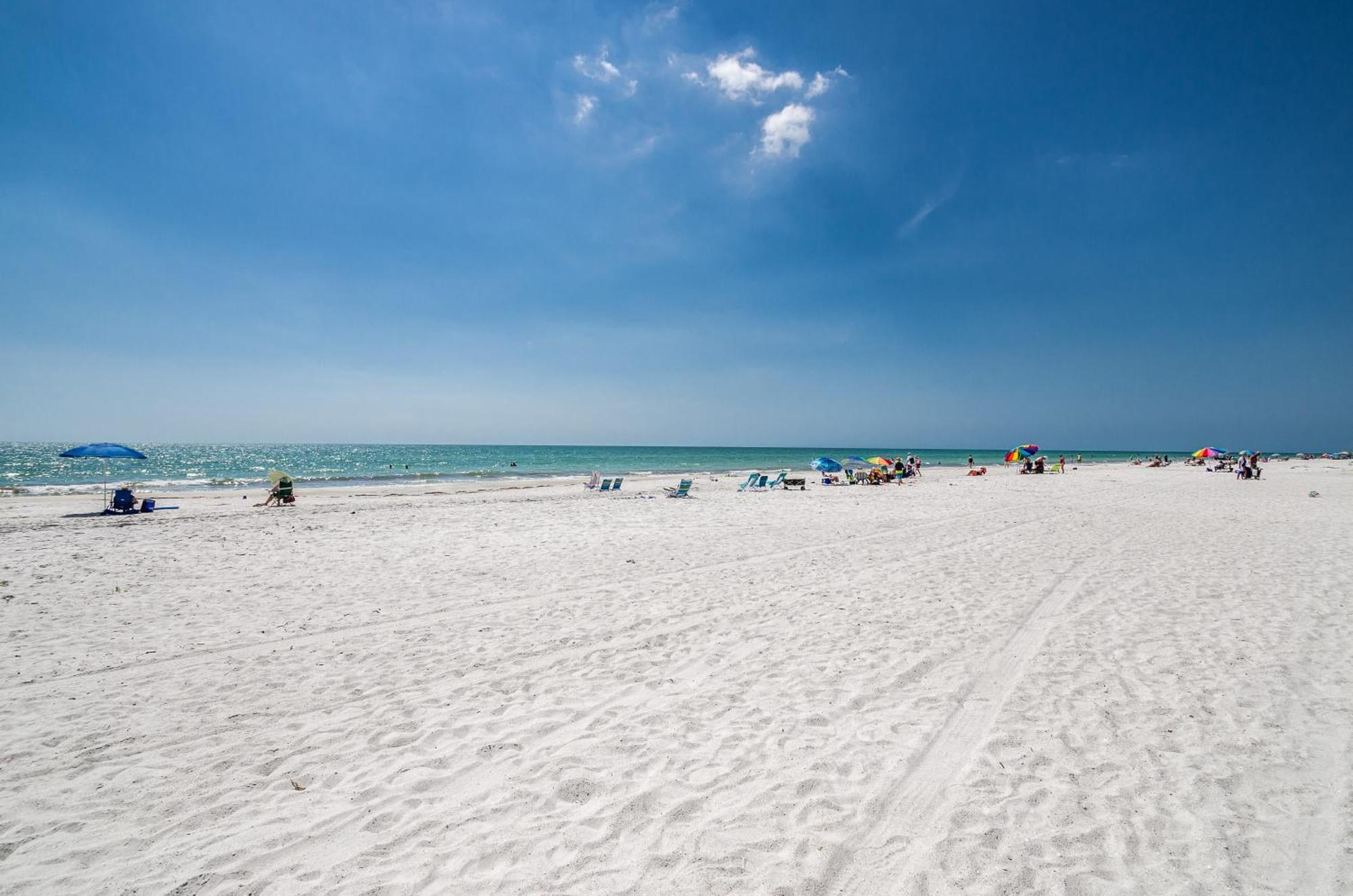 The Rose Clearwater Beach Exterior foto
