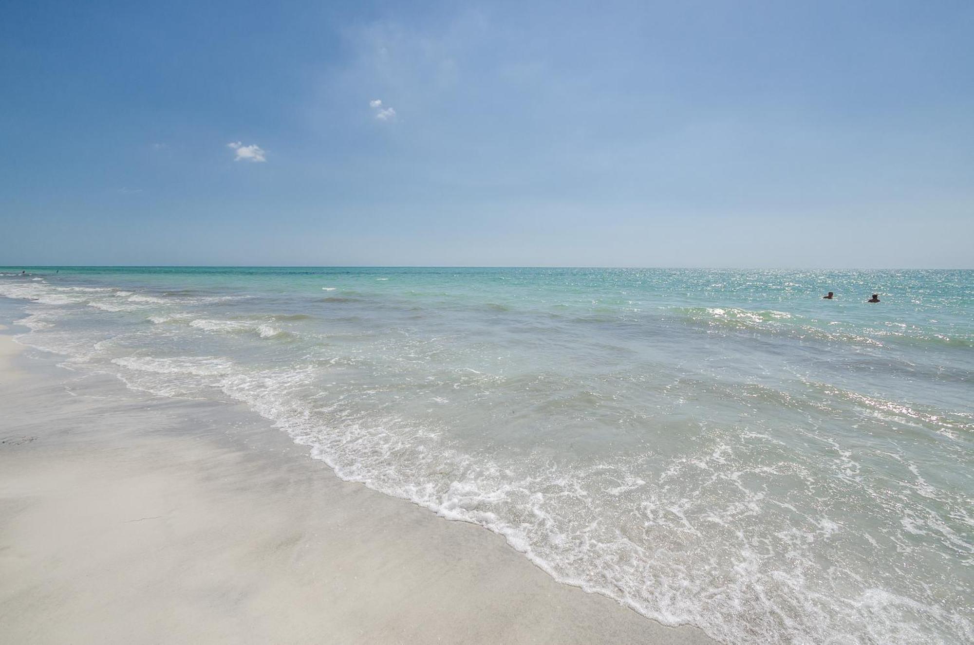 The Rose Clearwater Beach Exterior foto