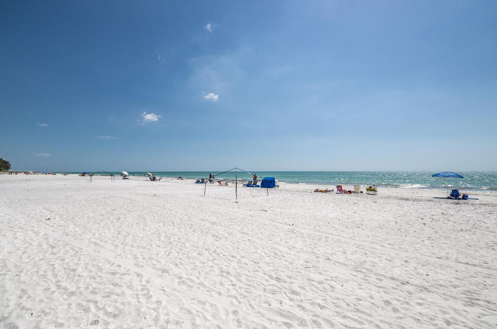 The Rose Clearwater Beach Exterior foto